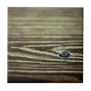 Wood Grain Texture by Shirley Taylor Ceramic Tile