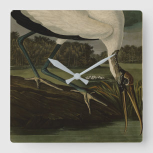 Wood Ibiss (Ibis, Stork): Audubon Birds of America Square Wall Clock