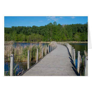 Wood Lake Park and Boardwalk Scenic