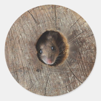 Wood Mouse Classic Round Sticker