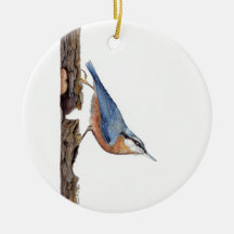 Wood Nuthatch Bird (Sitta Europaea)