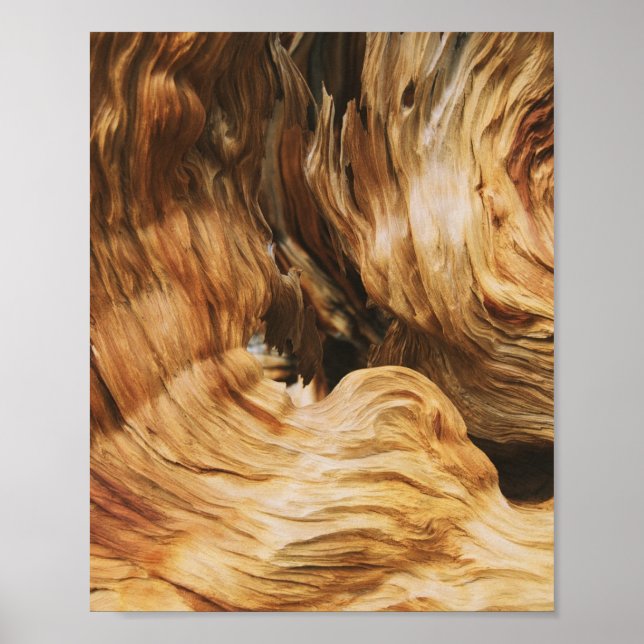 wood pattern texture nature old poster (Front)