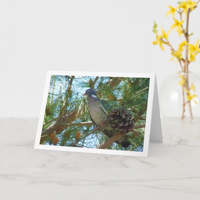 Wood Pigeon in Pine Tree Card (Yellow Flower)
