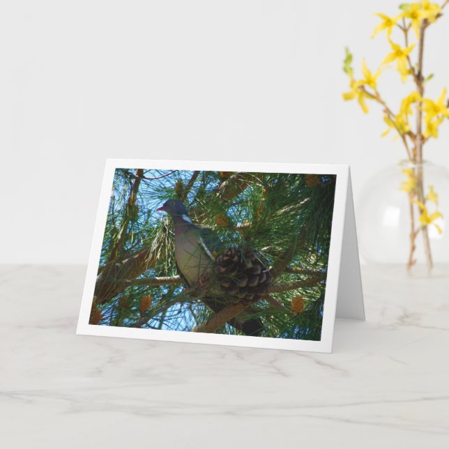 Wood Pigeon in Pine Tree Card (Yellow Flower)