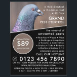 Wood Pigeon, Pest Control Advertising Flyer<br><div class="desc">Wood Pigeon,  Pest Control Advertising Flyer by The Business Card Store.</div>