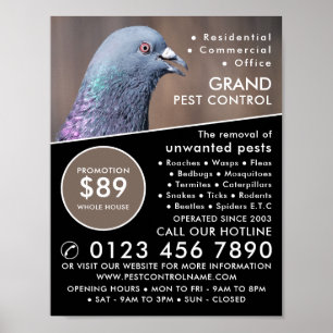 Wood Pigeon, Pest Control Advertising Poster
