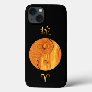 Wood Snake Year and Aries Fire sign case