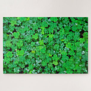 Wood Sorrel In Spring Jigsaw Puzzle
