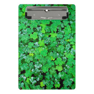 Wood Sorrel In Spring Mini Clipboard