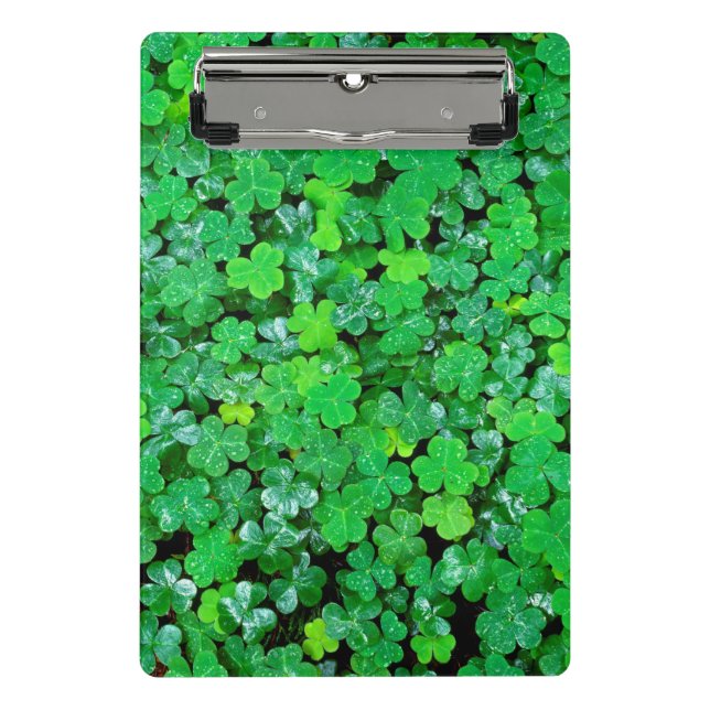 Wood Sorrel In Spring Mini Clipboard (Front)