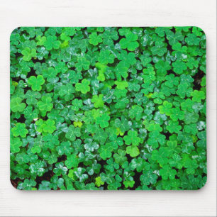 Wood Sorrel In Spring Mouse Pad