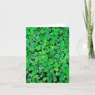 Wood Sorrel In Spring Note Card