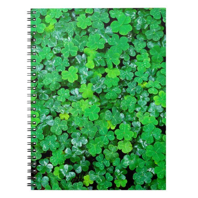 Wood Sorrel In Spring Notebook (Front)