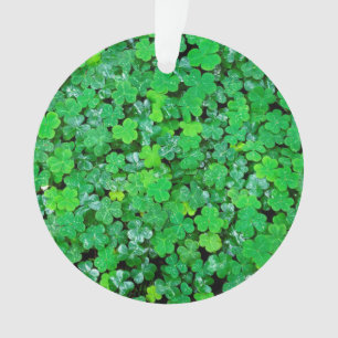 Wood Sorrel In Spring Ornament