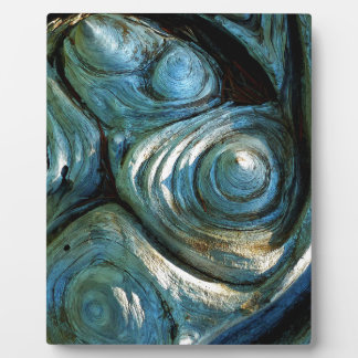 Wood Spirals Plaque