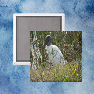 Wood Stork Bird Wetlands Florida Photo Magnet