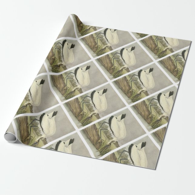 Wood Stork by Audubon Wrapping Paper (Unrolled)