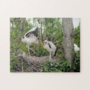 Wood Stork Chicks - Nest - Playin - Bird - Puzzle