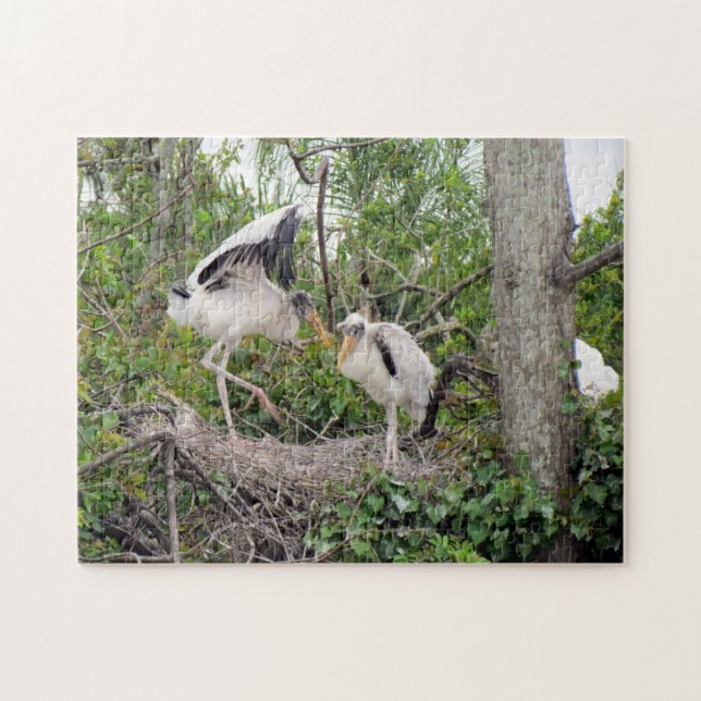 Wood Stork Chicks - Nest - Playin  - Bird - Puzzle (Horizontal)