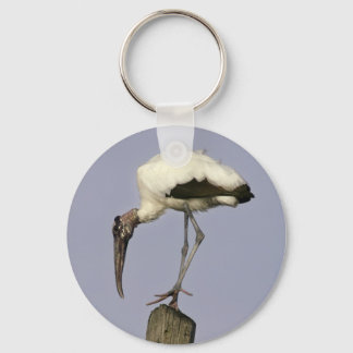 Wood Stork Key Ring
