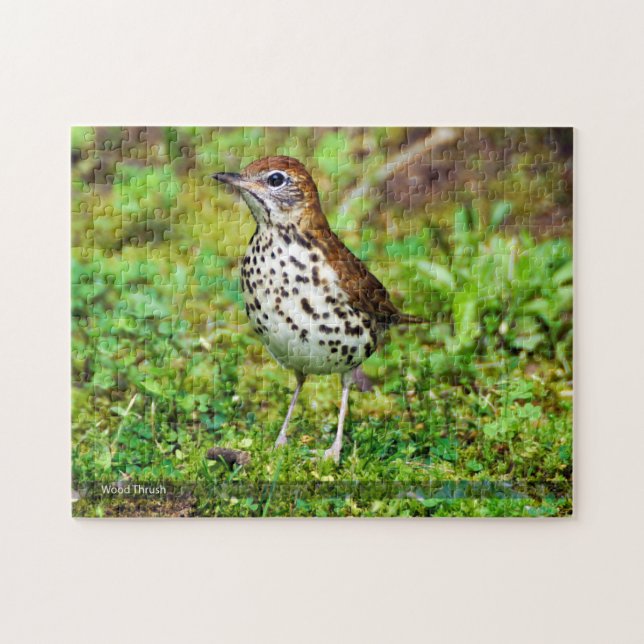 Wood Thrush Bird Puzzle (Horizontal)