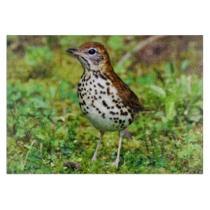 Wood Thrush Decorative Glass Cutting Board