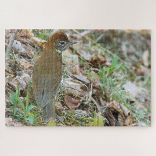 Wood Thrush Jigsaw Puzzle