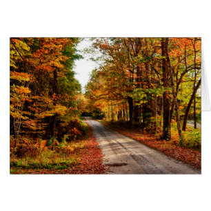 Wood trail with fall foliage