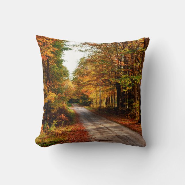 Wood trail with fall foliage cushion (Front)
