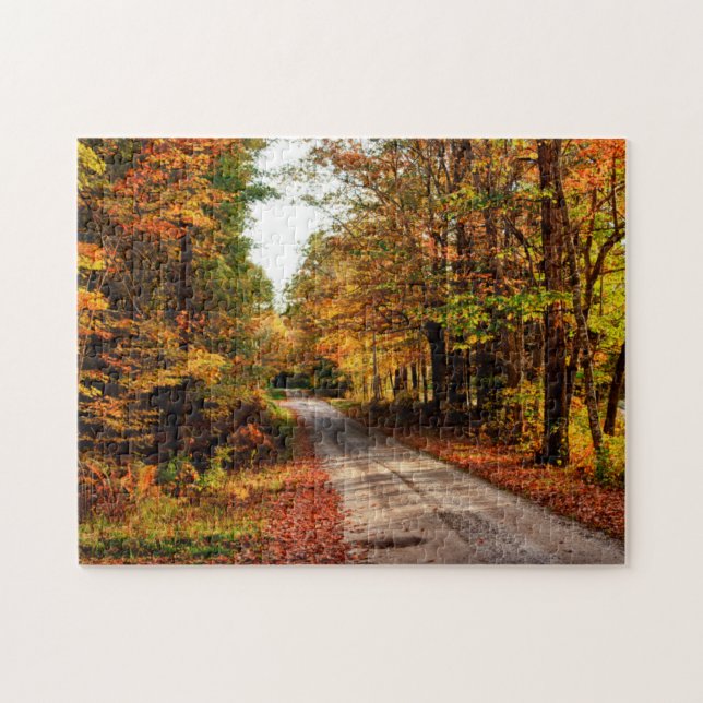 Wood trail with fall foliage jigsaw puzzle (Horizontal)