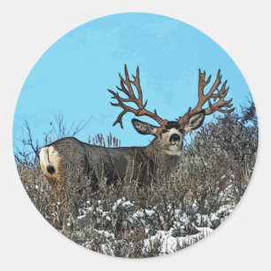 Wood wall monster buck classic round sticker