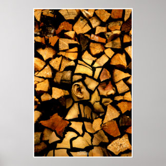 Woodblock by Johannes Stötter Poster