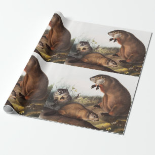 Woodchuck (Arctomys monax) Illustration Wrapping Paper