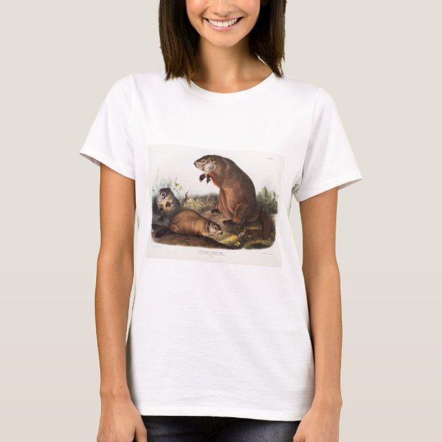 Woodchuck Camping Deco Gifts T-Shirt (Front)