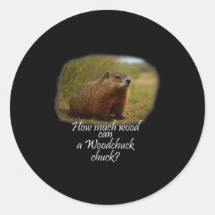 Woodchuck! How Much Can A Woodchuck Chuck_ Classic Round Sticker