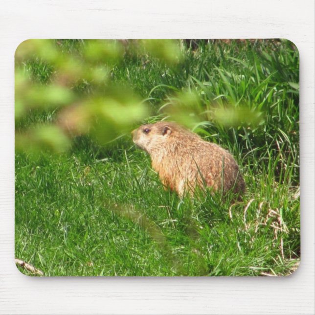 Woodchuck ~ mousepad (Front)