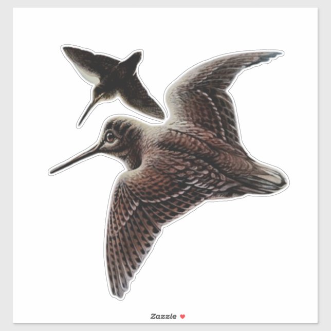 Woodcock hunting (Sheet)