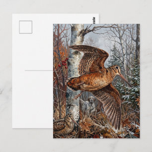 Woodcock Hunting Postcard