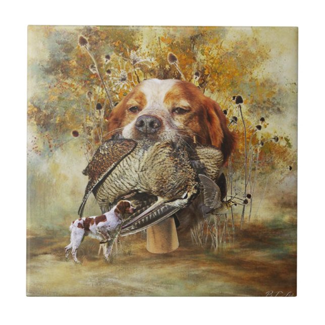 Woodcock hunting with Brittany Spaniel      Ceramic Tile (Front)