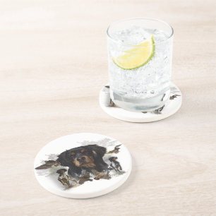 Woodcock hunting with Brittany Spaniel Coaster