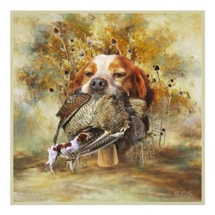 Woodcock hunting with Brittany Spaniel Photo Print