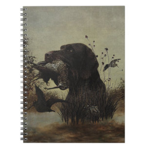 Woodcock Hunting with German Wirehaired Pointer    Notebook