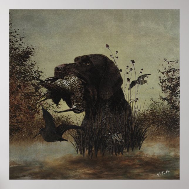 Woodcock Hunting with German Wirehaired Pointer   Poster (Front)