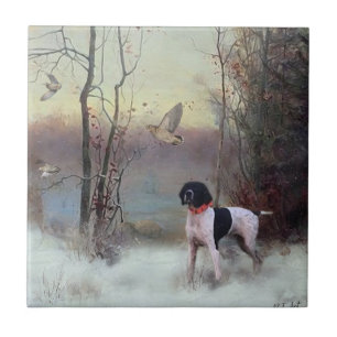 Woodcock Hunting with GSP Ceramic Tile