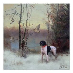 Woodcock Hunting with GSP Poster