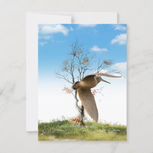 Woodcock postcard