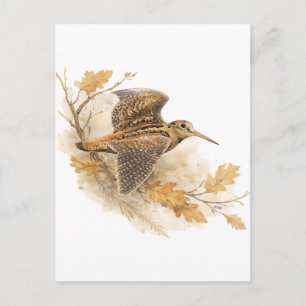 Woodcock postcard