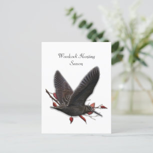 Woodcock  postcard