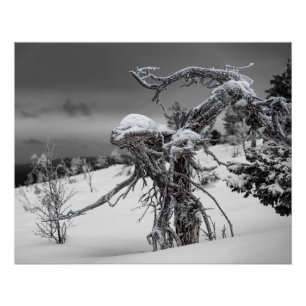 Wooden alien in winter setting poster