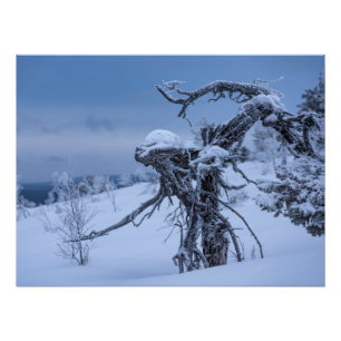 Wooden alien winter  poster